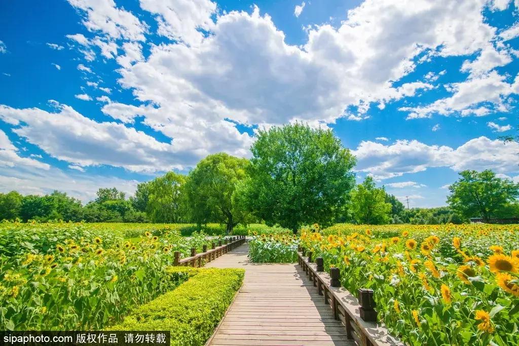 北京周末免费游玩好去处,北京适合周末闲逛的景点