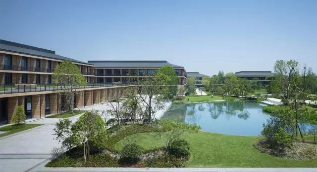 乌镇绿城雅园旅游攻略,乌镇国际文旅度假区