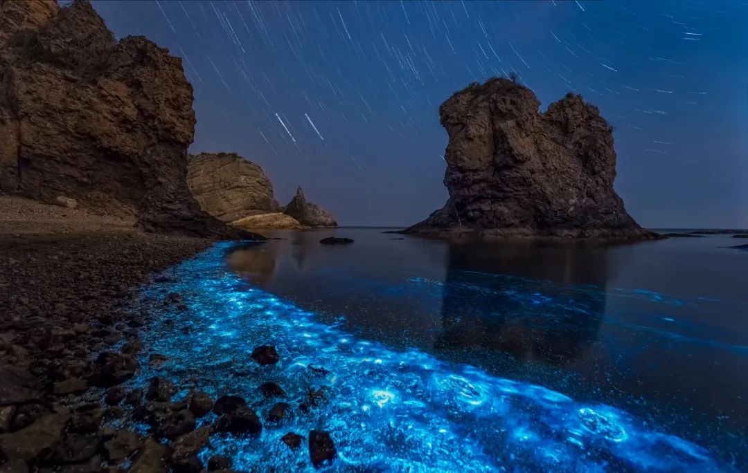 海滩再现绝美荧光海宛如蓝色星河,成都荧光海滩