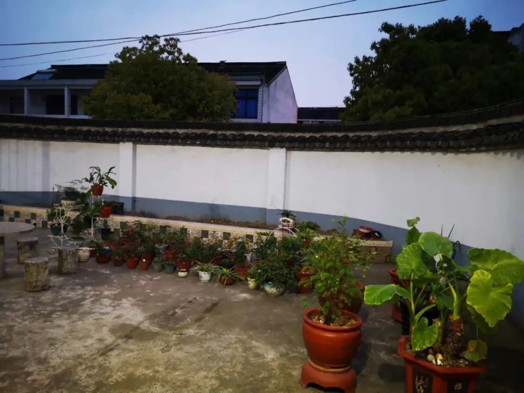 江阴新桥最美庭院,江苏江阴阳台风景