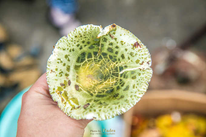 朝天三天旅游攻略,朝天区旅游攻略自驾游