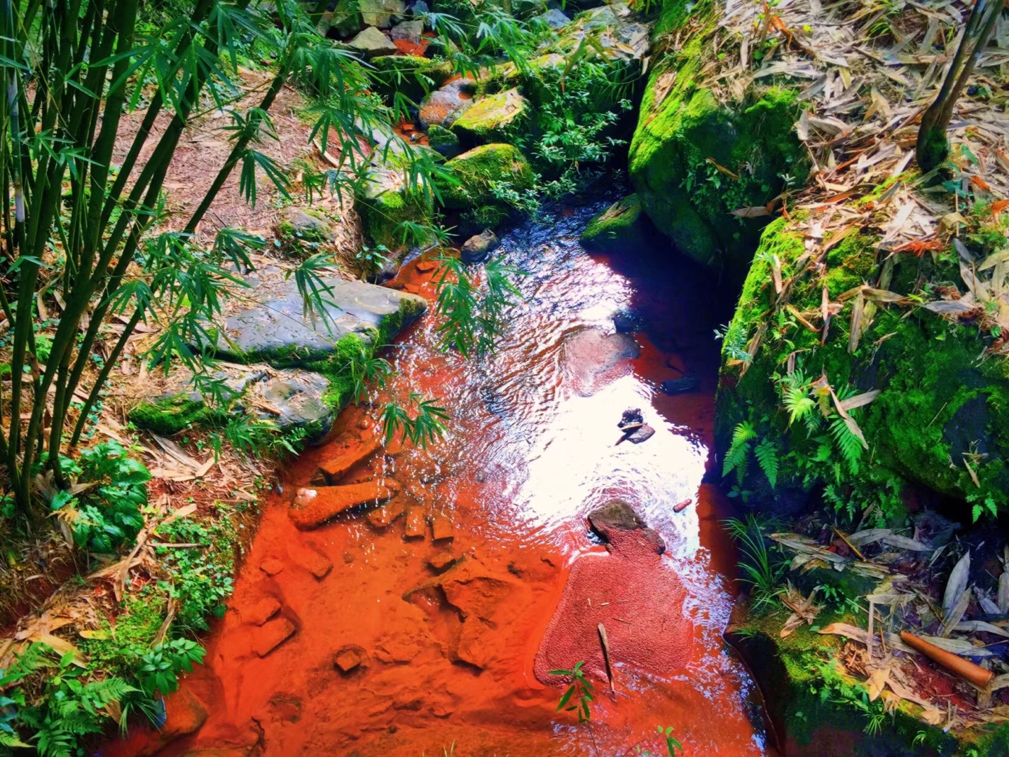 omg口红一哥,omg口红在哪里