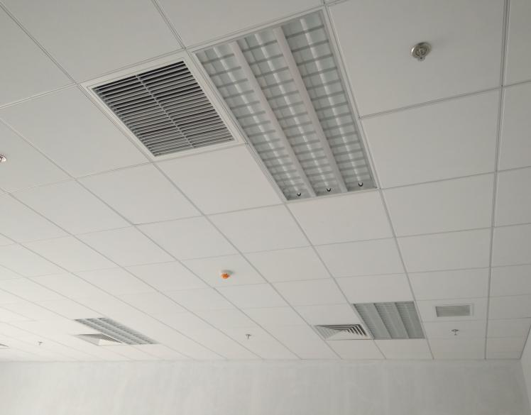 老鼠怎么灭教你使用陷阱捕捉老鼠,老鼠的生活习性是怎样