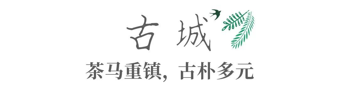 带你Get《司藤》同款神仙美景,春天的香格里拉这样玩