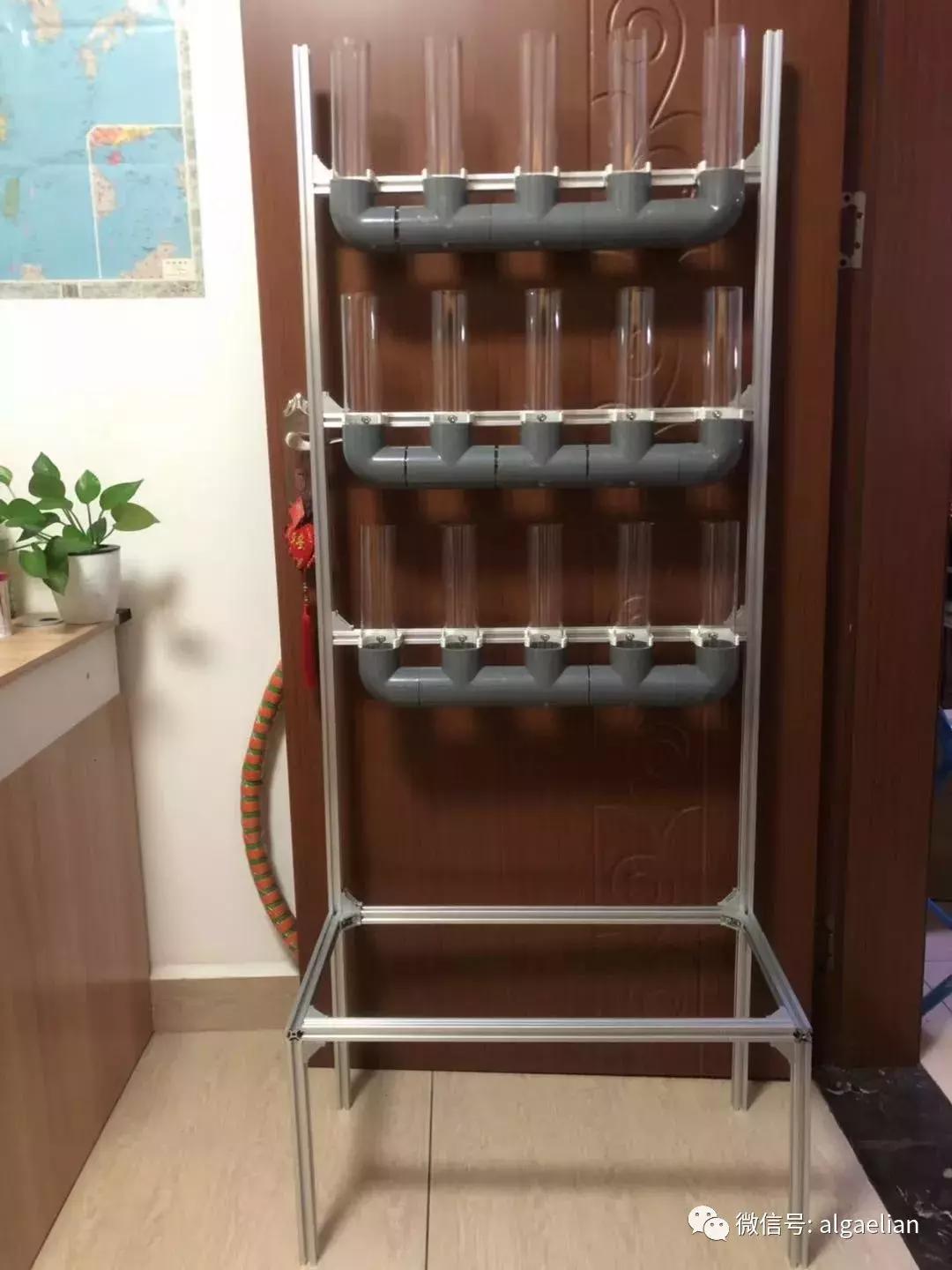 零售巨头特易购呼吁增加藻类三文鱼饲料