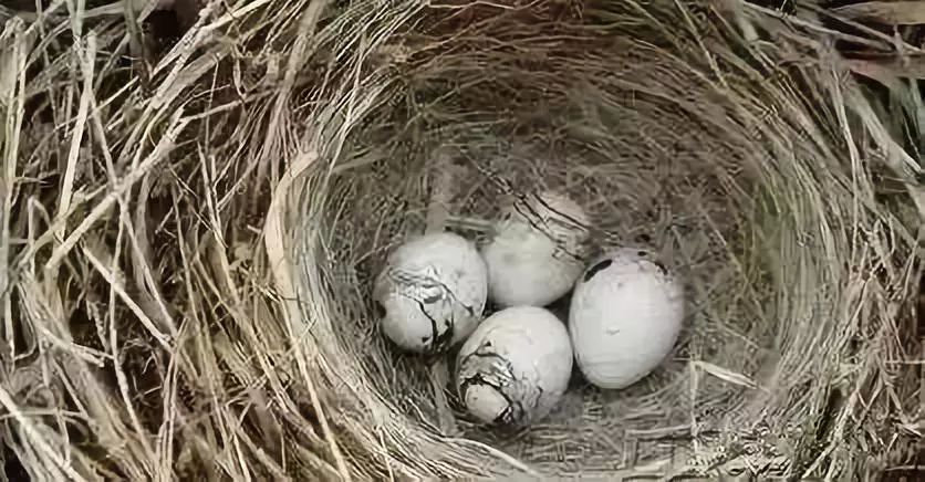 30年前河南人咋过冬,北方人第一次在河南过冬天