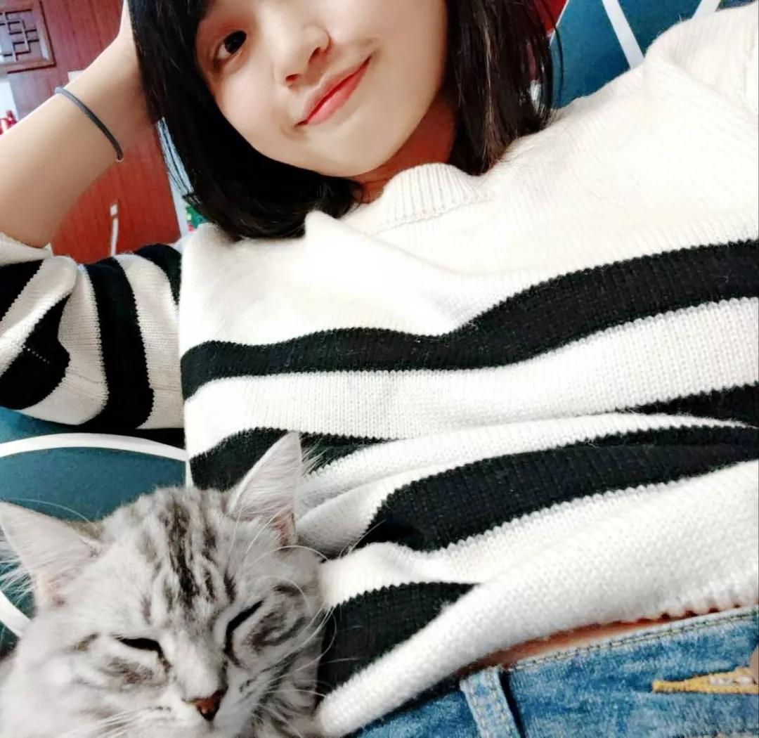 养猫后才知道爱是什么,养猫之后才知道原来只看猫睡觉