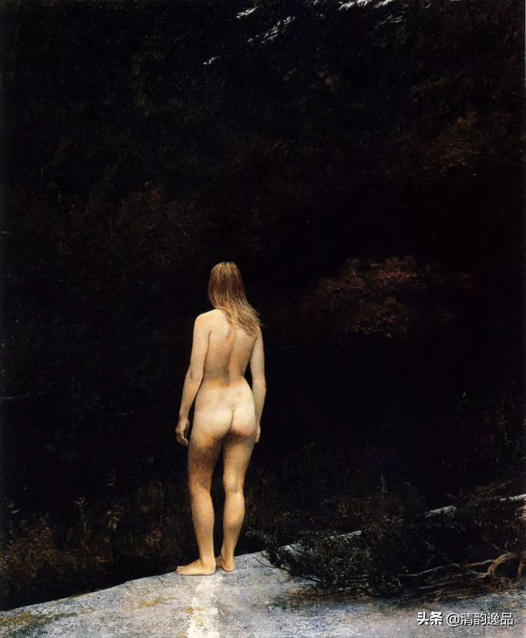 类似安德鲁怀斯的画家,安德鲁怀斯画家视频