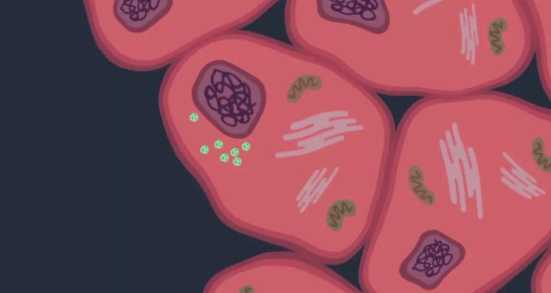 女性如何做好“两癌”筛查一文给你详细指导