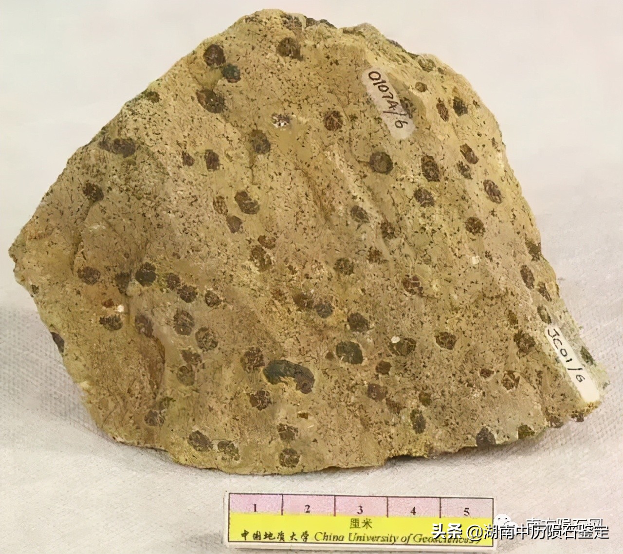 月球陨石与地球矿石的区别,月球陨石和矿石有什么区别