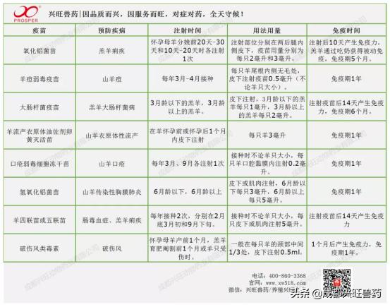 畜牧养殖热点问题有哪些,牛羊养殖热点