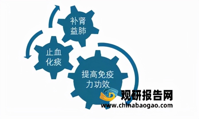 2023年冬虫夏草产量怎么样,冬虫夏草市场行情怎么样