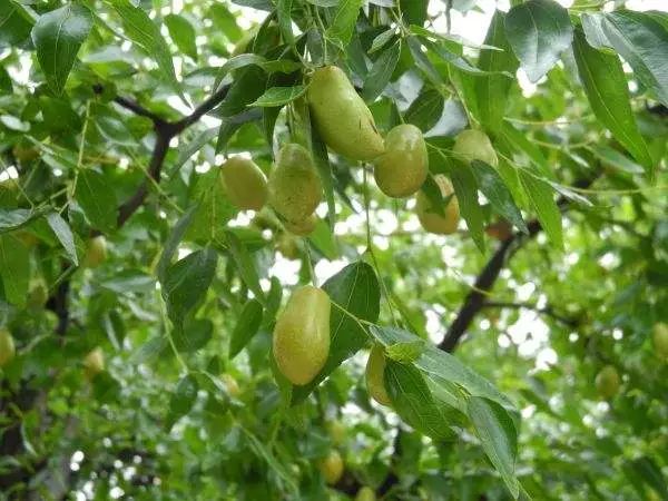 江阴市最近发生了什么,江阴发生什么大事