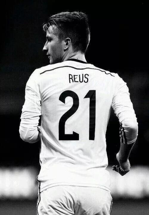 罗伊斯德甲赛季最佳球员,罗伊斯德甲赛季