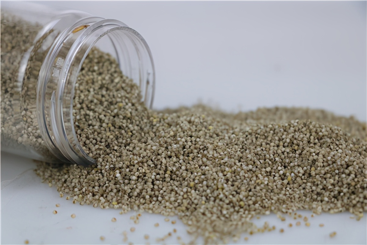 小米有转基因的吗,绿色小米是转基因食品吗