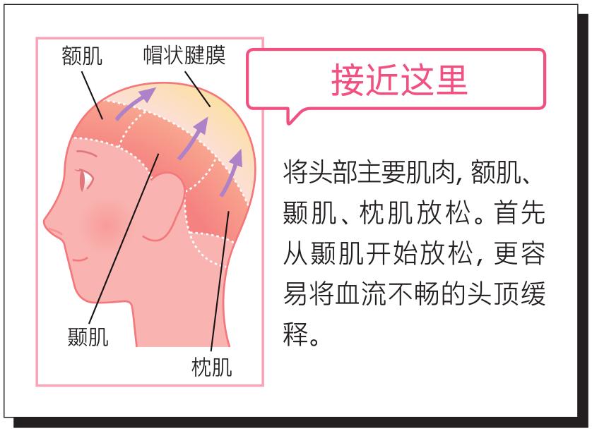 26岁鞠婧祎、彭昱畅都有脱发困扰？提高头皮密度的速效护理