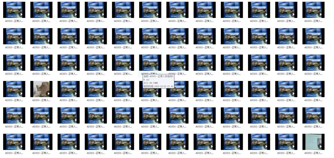 210G解剖学视频，包含系统、断层、运动、人体和局部解剖学