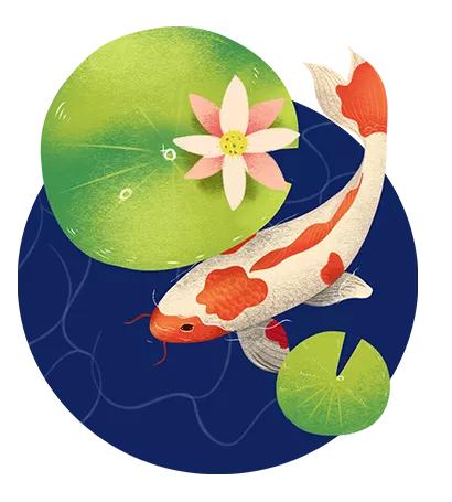 锦鲤怕人一招搞定图片,锦鲤小技巧