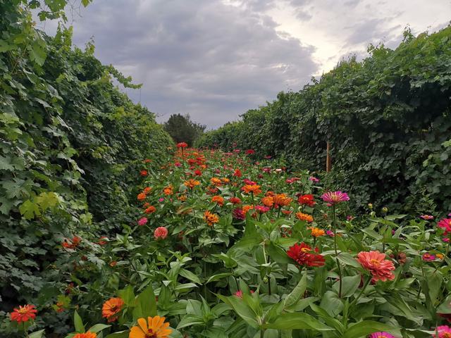 乐舞纵横,饕餮盛宴,哈密夜游正当时