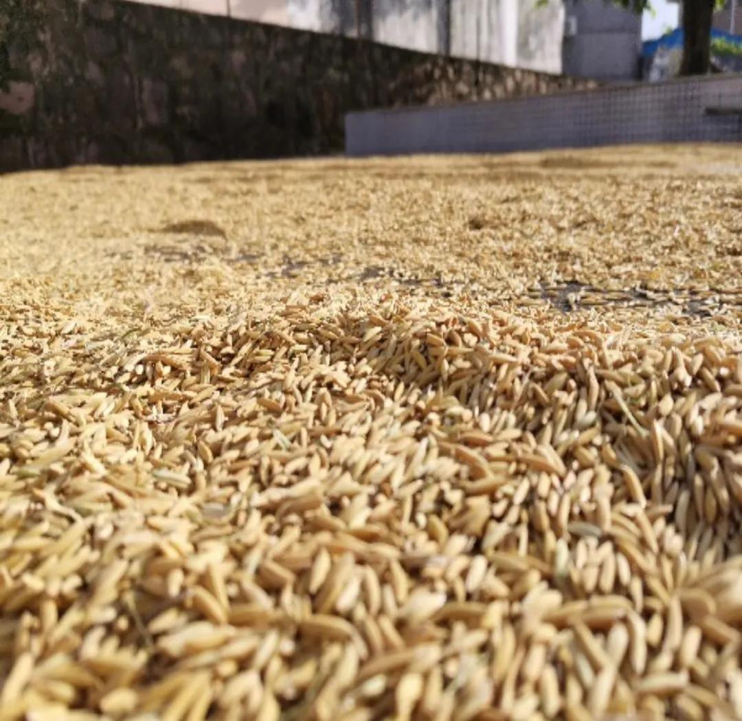 都是好产品，都有优惠价，更多惊喜就在9月12日下午