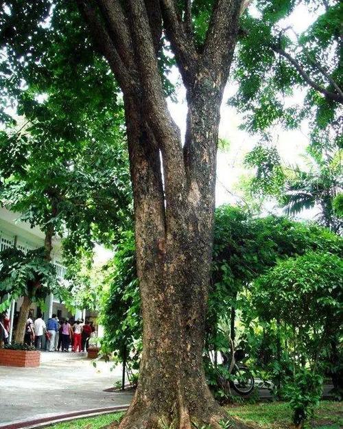 奇妙的汉字组合方法,五行金木水火土叠字