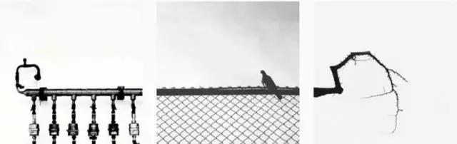 晒一晒九宫格图片,怎么晒九宫格