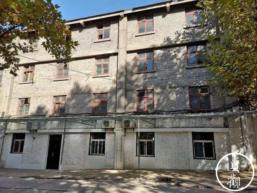 我当厂长那些年：为了拯救蝴蝶表厂，我们想过很多办法