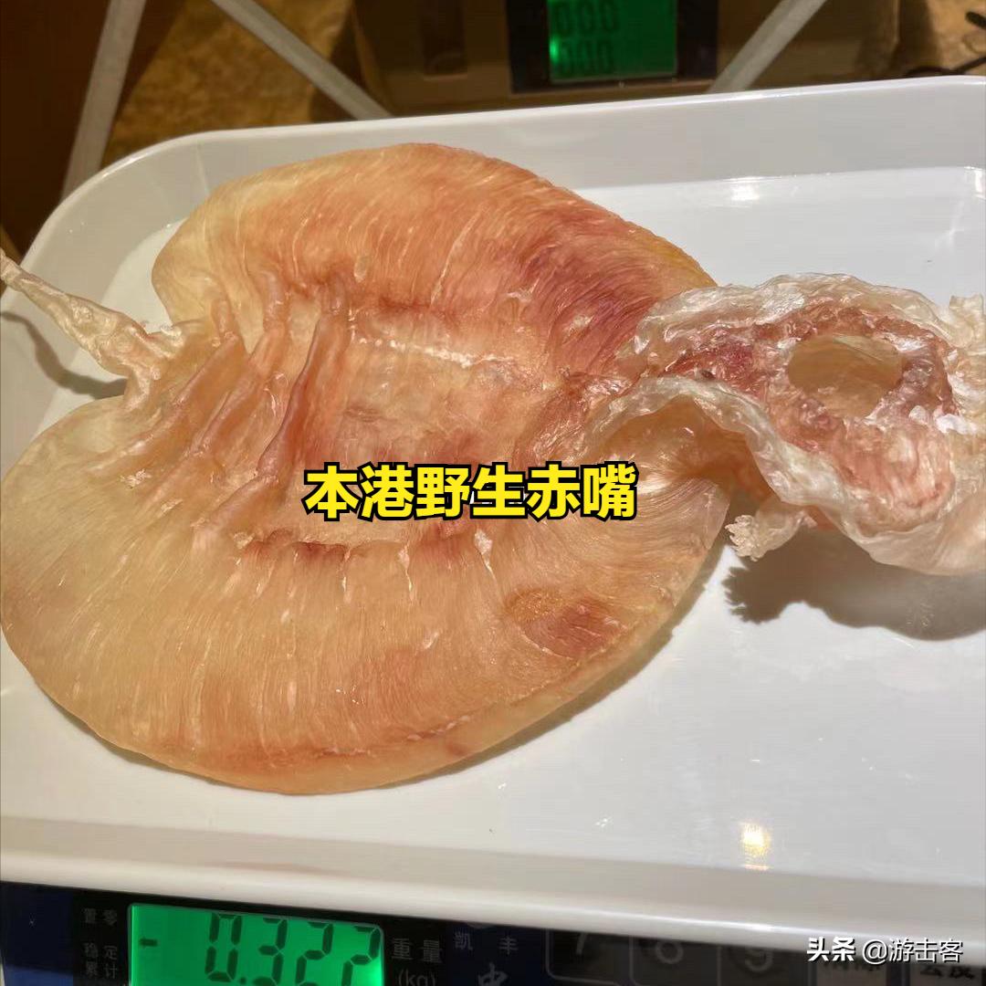 鱼胶种类有几种及辨别方法,野生鱼胶与养殖鱼胶的区别