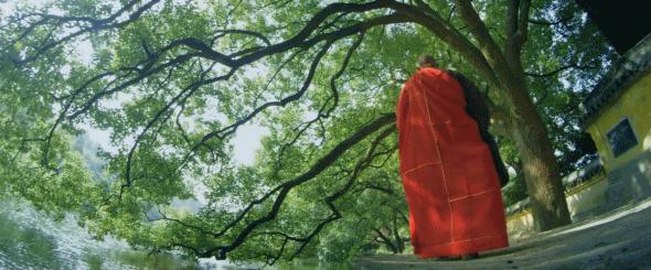 绍兴新昌一日游最佳景点,知否新昌取景地