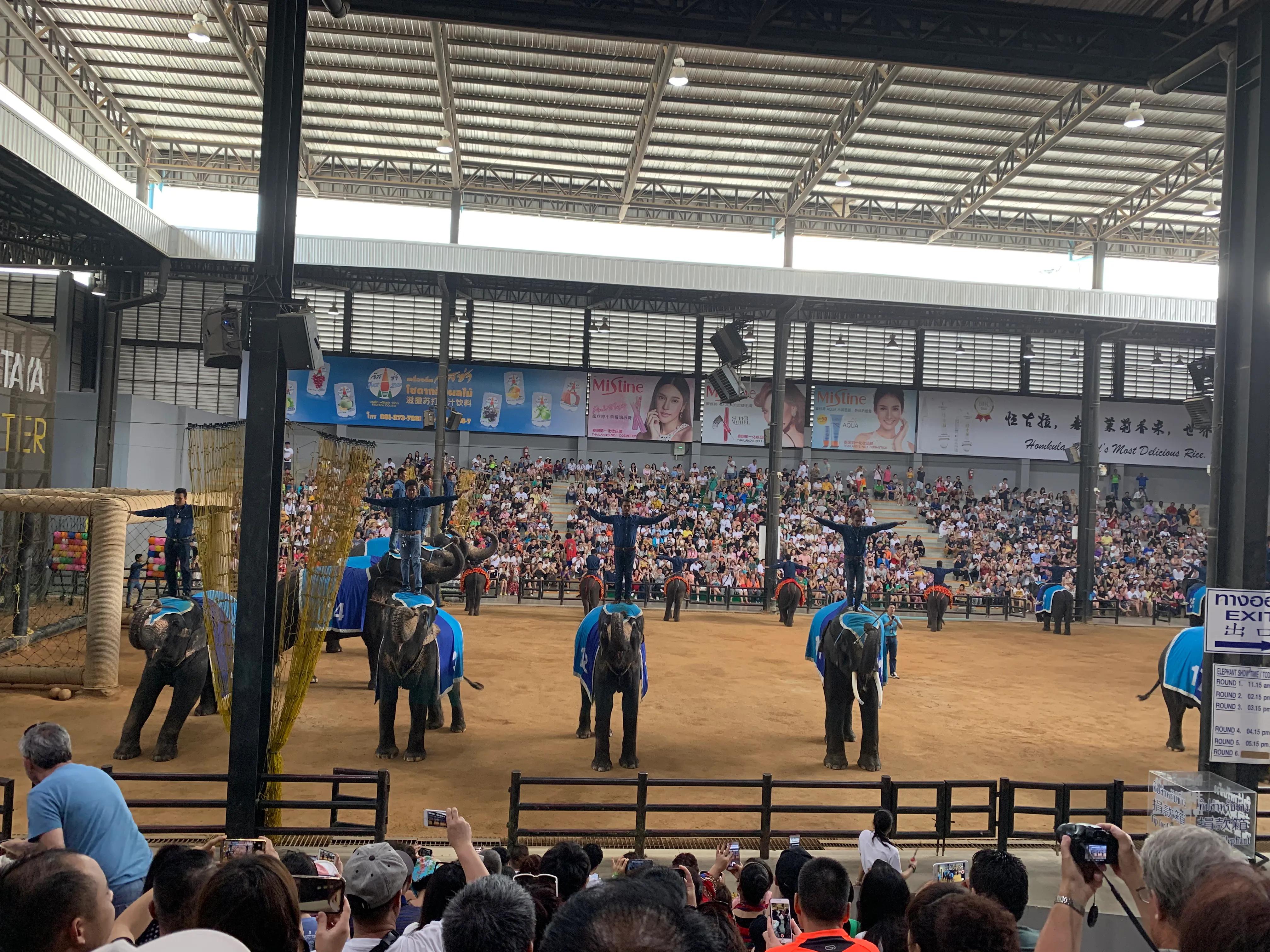 大海泰国游记最新视频,泰国清迈游记视频