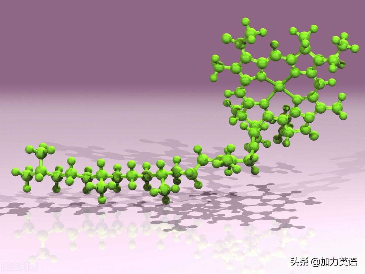 中考英语美文,中考美文朗读英语