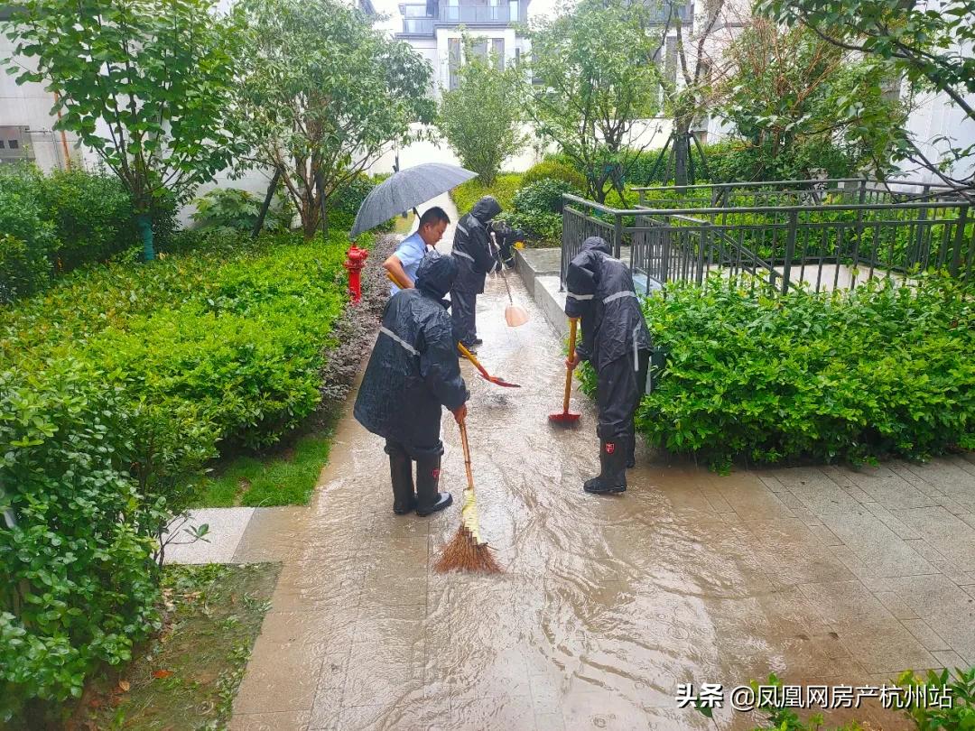 烟花过境宁波,烟花过境淮北