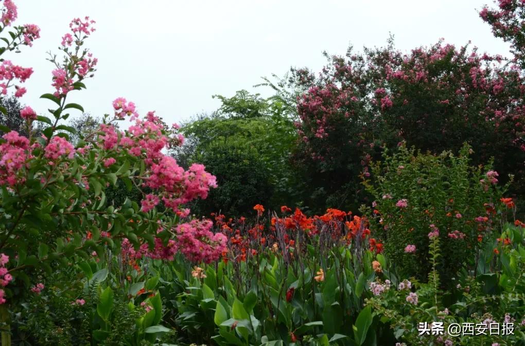 西安公园开放通知最新,西安附近公园免费景点