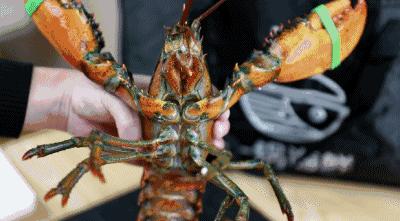 新鲜海鲜保存是冷冻好还是冷藏好,海鲜是煮熟了保存还是生的保存