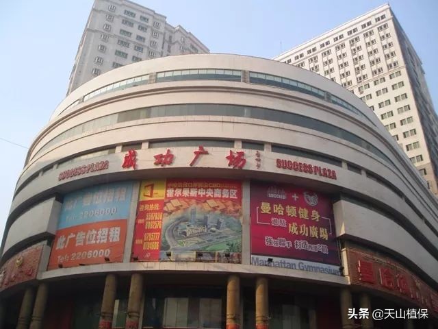 迪丽热巴古力娜扎对比视频,迪丽热巴与娜扎