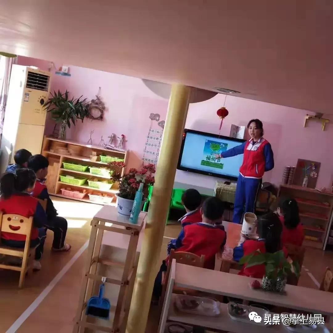 金山银山不如绿水青山植树活动,幼儿园绿水青山就是金山银山