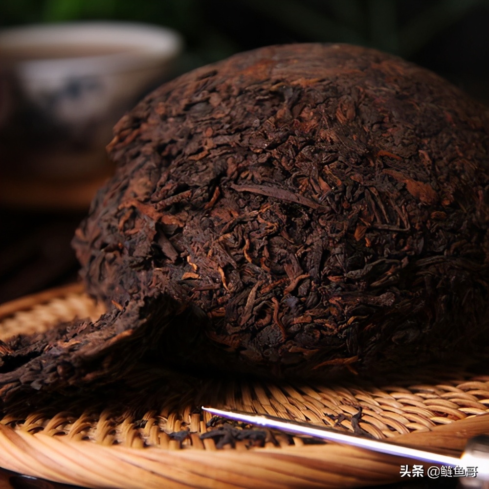 黑茶常识,黑茶白茶基础知识