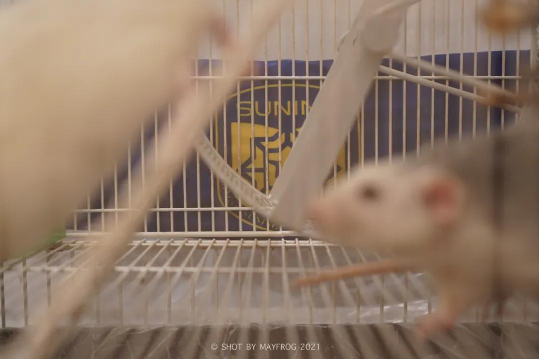 「清明特辑」零首付！月供2块2！江苏队的头七日我尽了绵薄之力