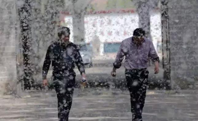 被柳絮困扰,被柳絮搞到崩溃是什么体验