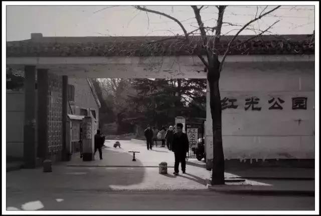 天津河西最好的楼房,天津河西区最好的楼盘价格表