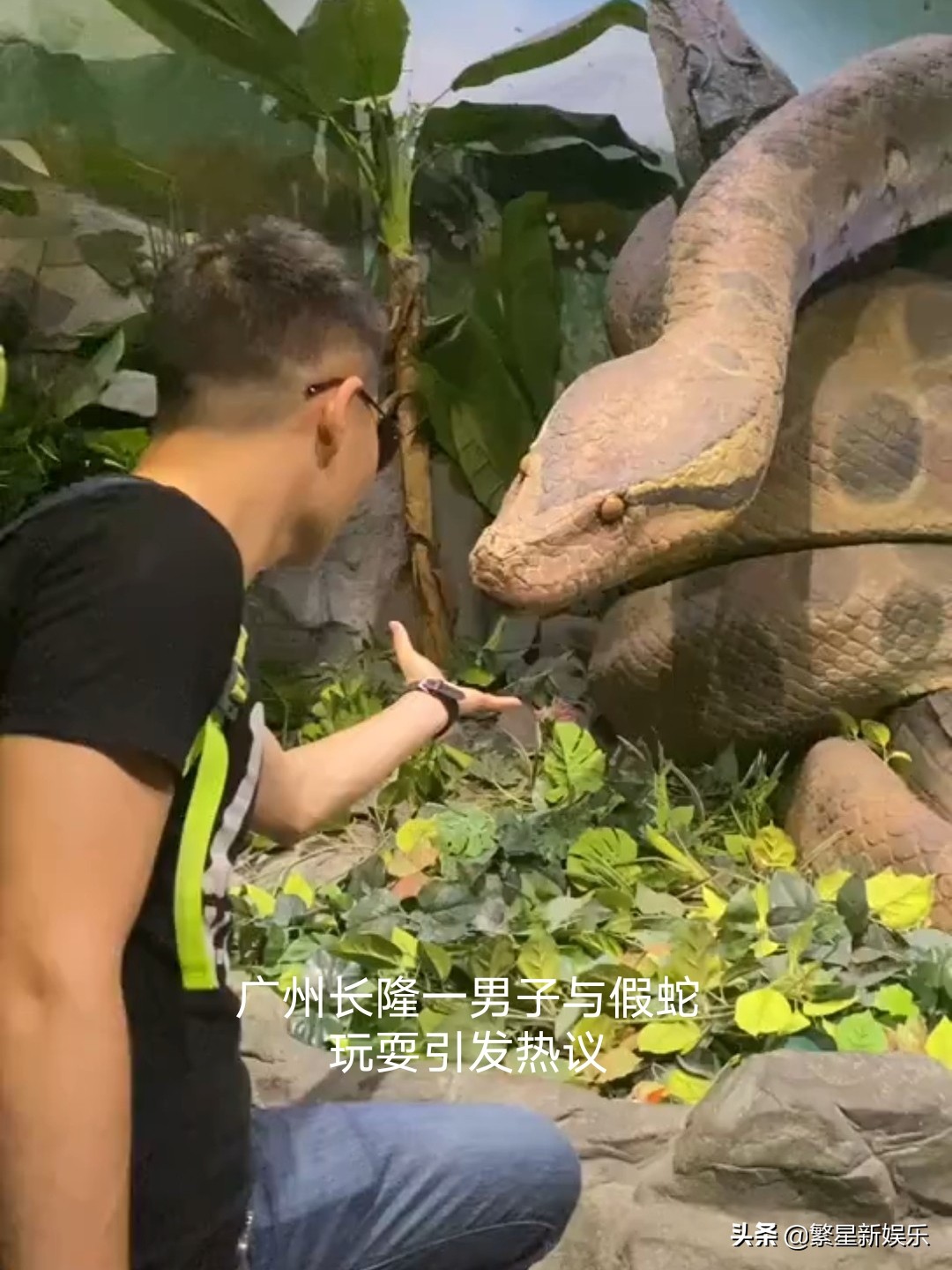 广州长隆假蛇,长隆动物园和蛇互动