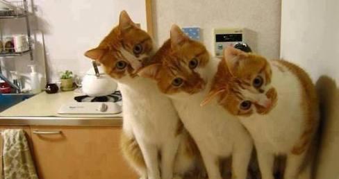 成功者的心理韧性,成功人士的心理标配