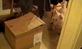 把中间的门店租下来取什么名字好,租下门面不知道取什么名字