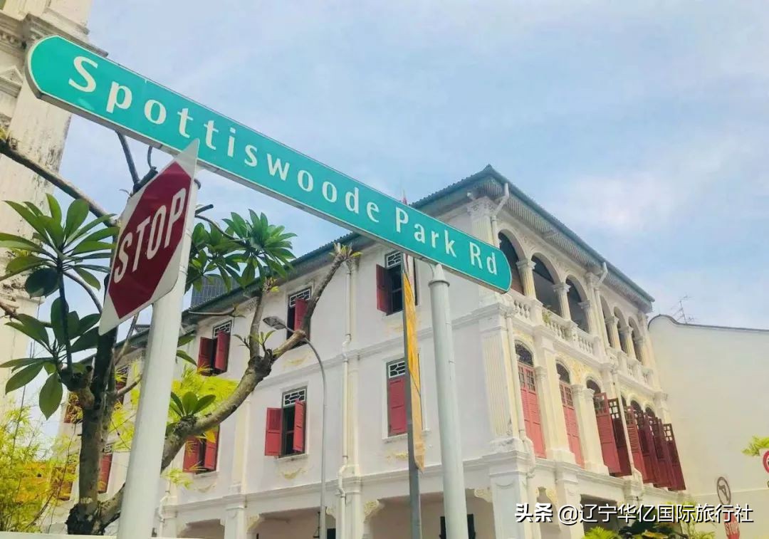 看世界┃春天之籁到新马找回久违的爱