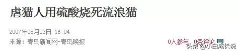 为什么虐猫会被批判,为什么现在虐猫都能上热搜