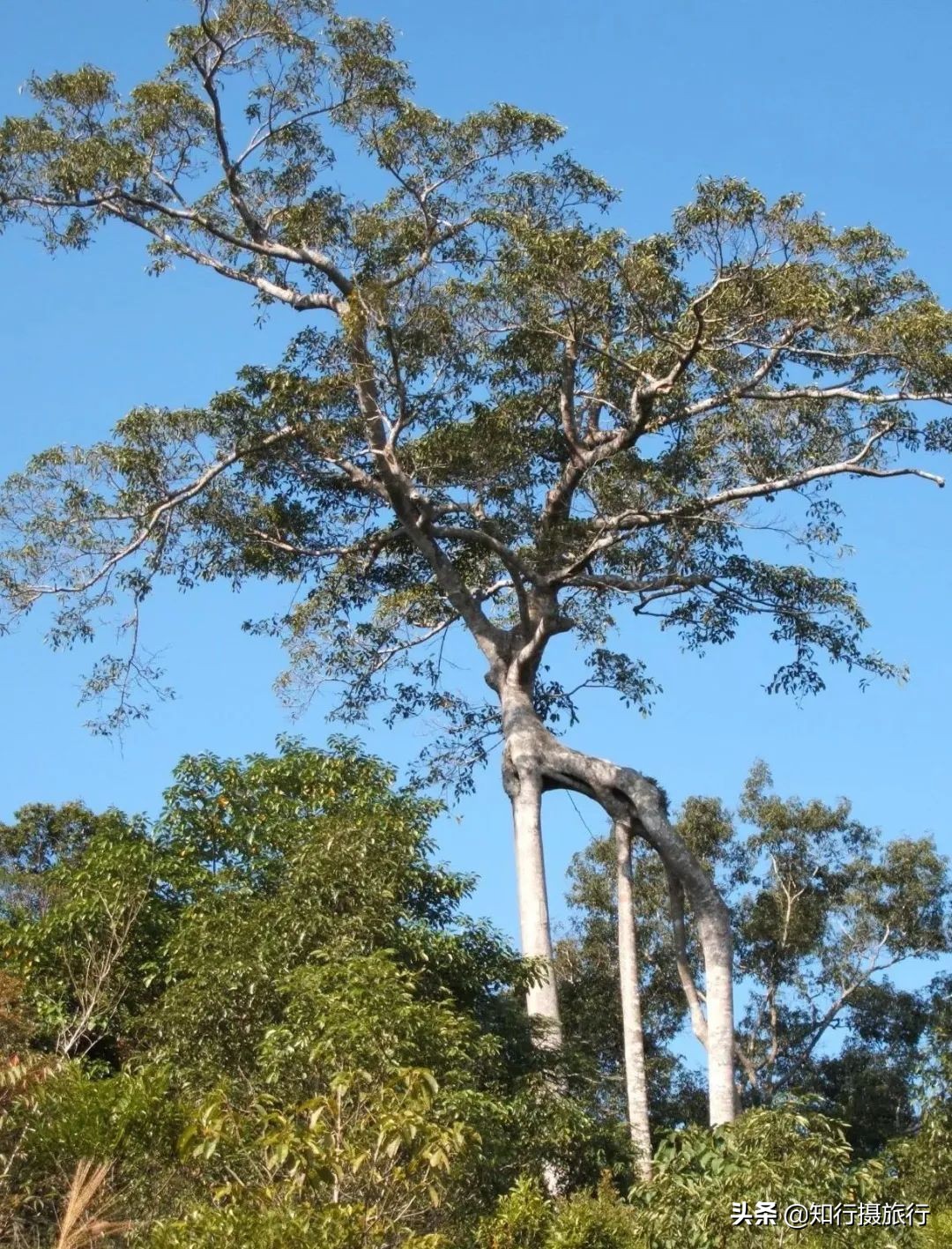 海南环岛自驾旅游攻略最新,海南东部环岛自驾游攻略详细行程