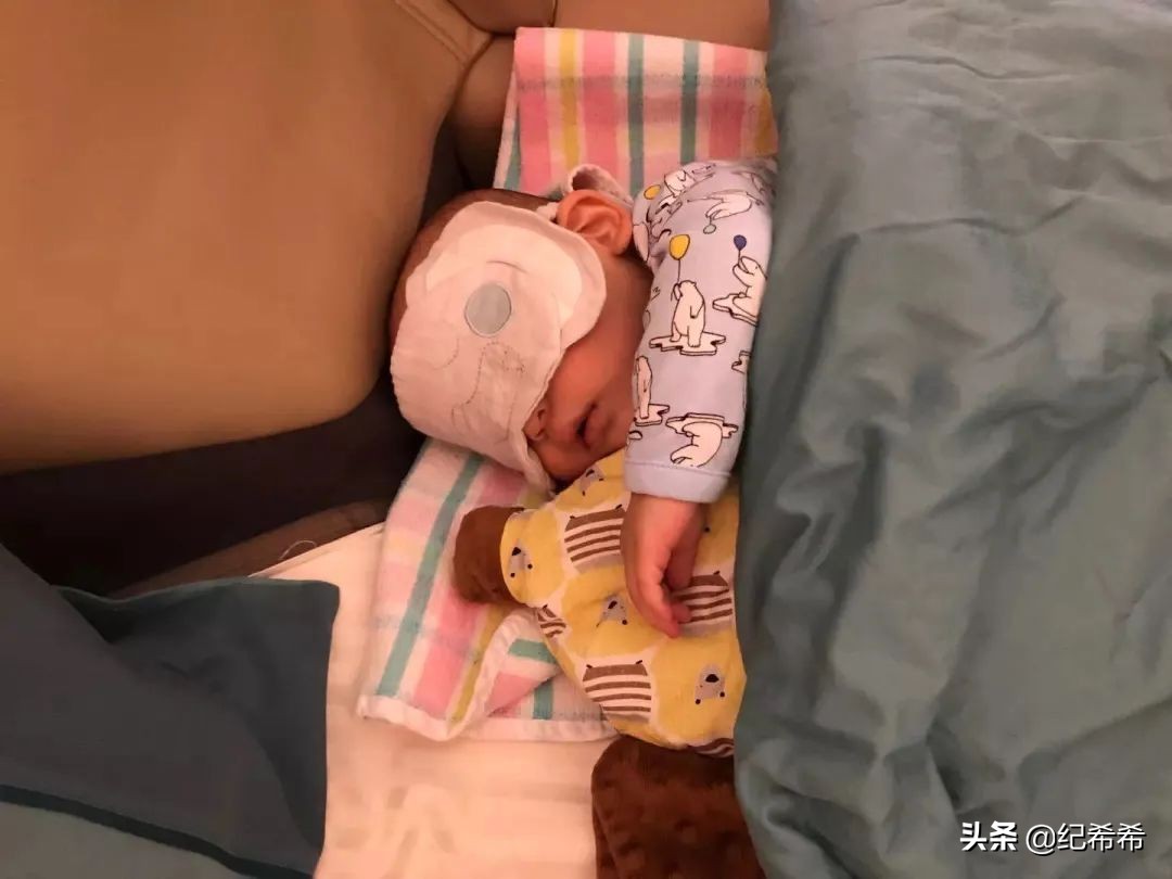 祖马龙薰衣草限定，全智贤同款电饭锅，这些好用真的值得买