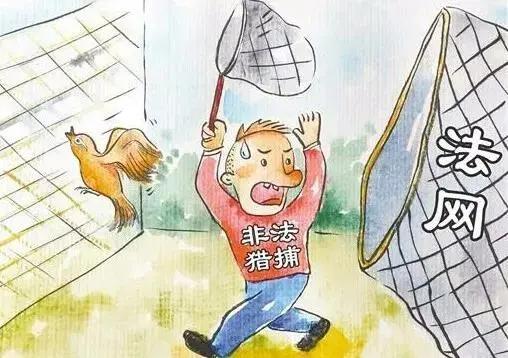 派出所民警查获野生鸟,非法狩猎判决书捕鸟50余只