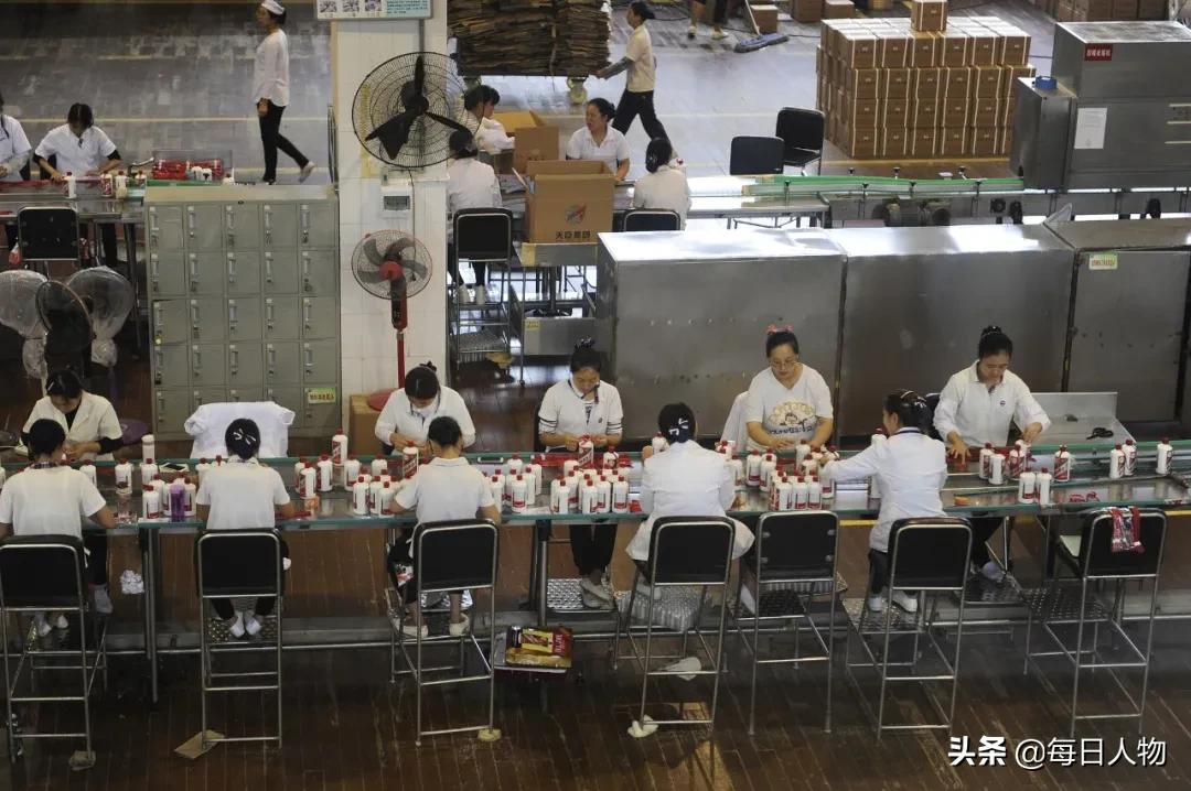 挣得比大厂多,把人生泡在酒里,那些不想离开茅台镇的年轻人