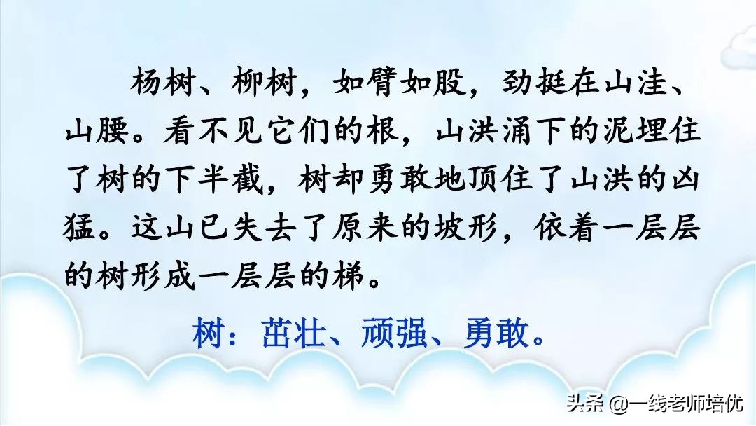 部编版六年级上册青山不老知识点,六年级上册19课青山不老预习笔记